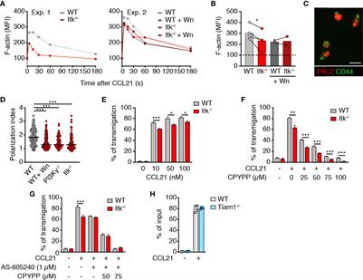 The Tec Kinase Itk Integrates Naïve T Cell Migration and In Vivo Homeostasis